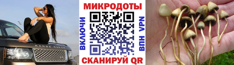 Галлюциногенные грибы MAGIC MUSHROOMS  Вельск 